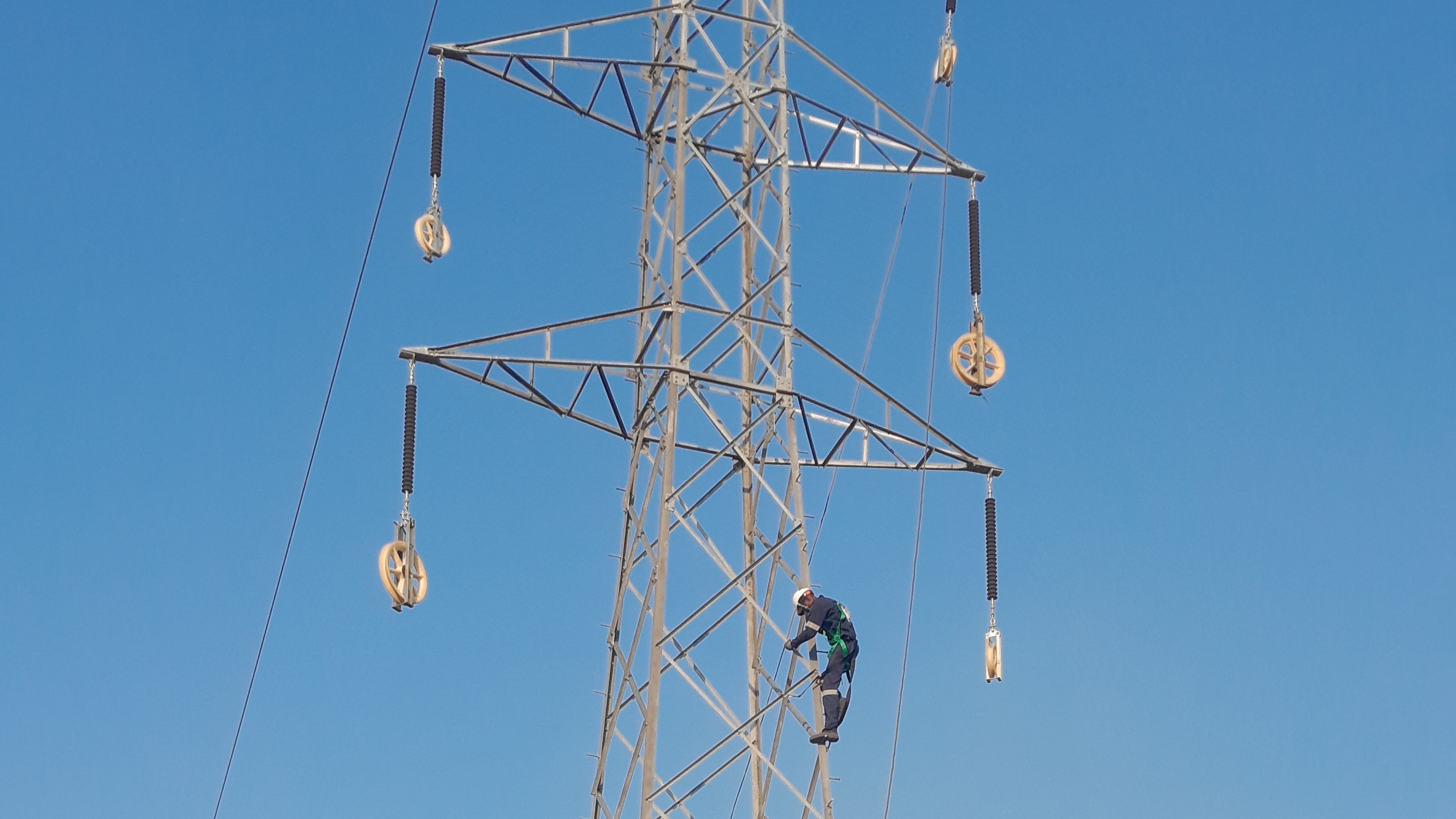 Youth in Agriculture